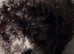 Beautiful poochon
