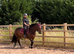 Welsh section D for 3 day loan