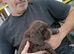 Sproker spaniels