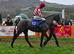 Race Horse For sale !!