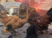 BARBU D'UCCLE ROOSTERS