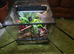 Fully Bioactive Dart Frog Vivarium Setup &ndash; 45x45x45 Exo Terra &ndash; Planted & Automated