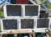 TREBLE AND DOUBLE BREEDING CAGES FOR SALE>>