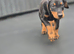 KC reg Dobermann puppy (READY)