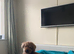Poochon Male 4Years Old