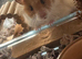Hamster and enclosure
