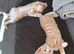 Mother and son
