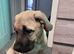 NEED REHOMING ASAP!!!