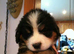 READY NOW TO FIND A HOME LAST TWO