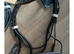 Job lots of equestrian wanted