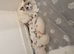 Ragdoll pure breed kittens 2 boys Ready now !!