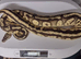 Adult Royal Pythons