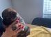 Border terrier puppies north east uk