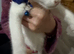 RARE ODD EYE Ragdoll x ragdoll bsh pure white boy 9 wks READY NOW