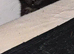 Female black kitten