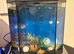 Fish tank with all Fishes