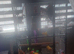 Crimson bellied conure and cage £250