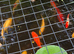 Clearing out pond - sell all together