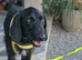 ARWEN &ndash; ONLY 13 MONTHS OLD&hellip; AND ALREADY SURVIVED HELL