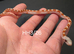 Hypo bloodred high pied corn snake
