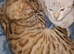 Bengal boy