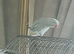 Rio blue ringneck
