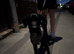 Beautiful 6 month old Labrador/Dalmatian