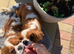Lottie and dotty