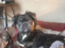 Heartbreaking sale of beautiful boy