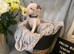 STUNNING ENGLISH BULL TERRIER PUPPIES – READY FOR LOVING HOMES