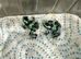 Auratus Panama special dart froglets