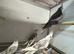 VARIOUS COCKATIELS WHITEFACED/ALBINO