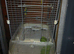 Lovely bird cage