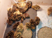 Jumbo quail  chick's and white buttons