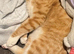 Brother and sister 11 months old