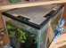 3 small coldwater fish, 1 shrimp and tank with accessories