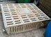 Large Pigeon transport Carrier for Sale