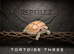 TORTOISES