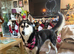 Adorable Siberian Huskies Puppies