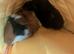 2 male bonded brothers
