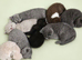 GCCF registered Chunky kittens