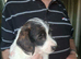 JACKAPOO READY NOW &pound;600