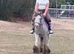 BLUE – 13.2hh Blagdon Gelding – 4 Years Old –
