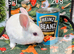Pedigree Mini Rex bunnies ready for reserve. Ready to leave us on Tuesday 13th October.