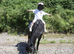 11.2hh 4yr old lead rein pony/happy hacker