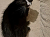 Siemese x kittens ready for their new home