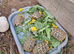 Hermanns Tortoises 2 Year old