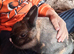 Raven is looking for a forever home
