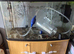 Fish tank and stand