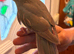 Hand reared & co-parented baby kakariki